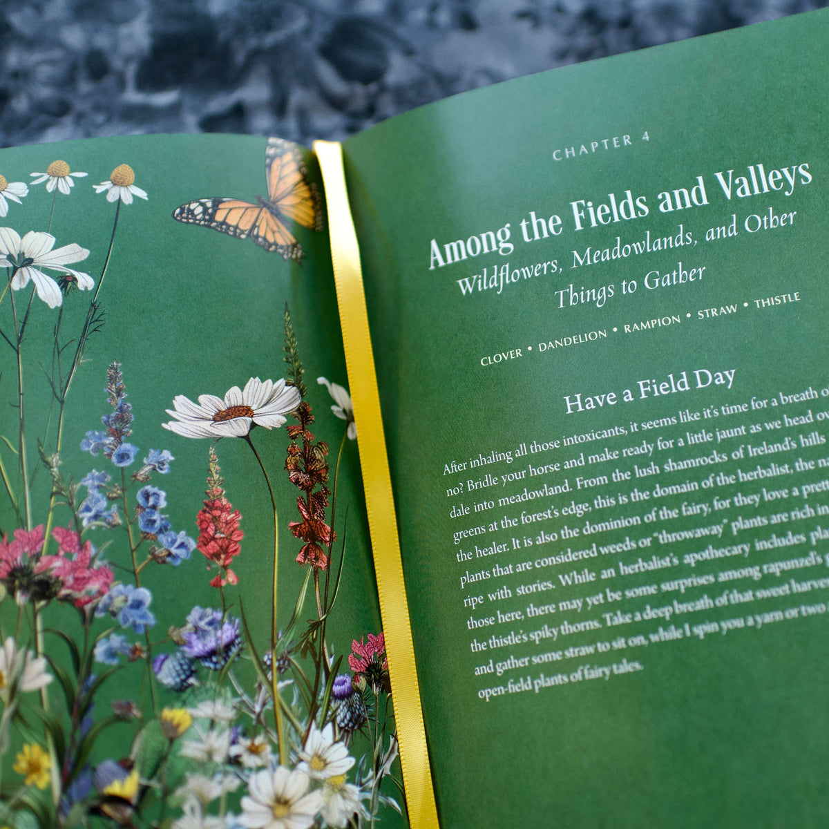 Enchanted Plants by Varla Ventura