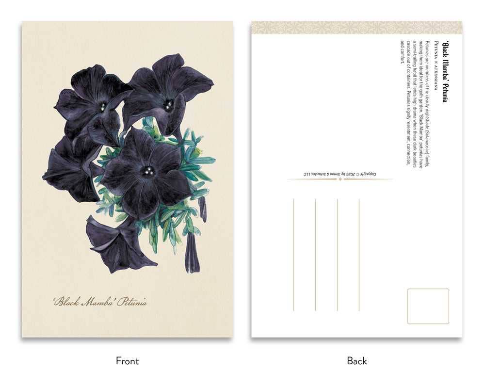 The Goth Garden: Dark Blooms by Felicia Feaster | Gothic Botanical Postcards