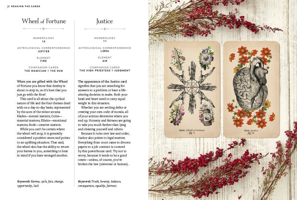 Antique Anatomy Tarot Kit by Claire Goodchild