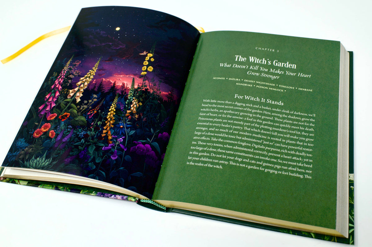 Enchanted Plants by Varla Ventura