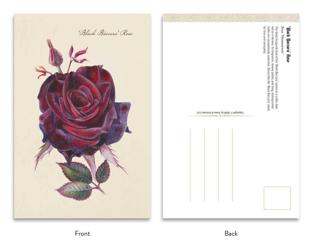 The Goth Garden: Dark Blooms by Felicia Feaster | Gothic Botanical Postcards
