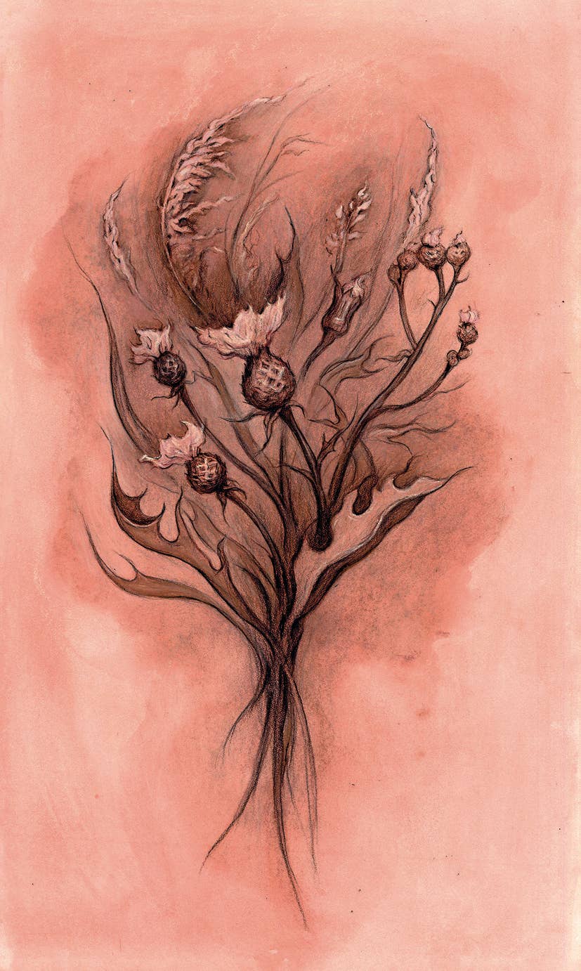 Witch Sister Tarot by Julia Jeffrey