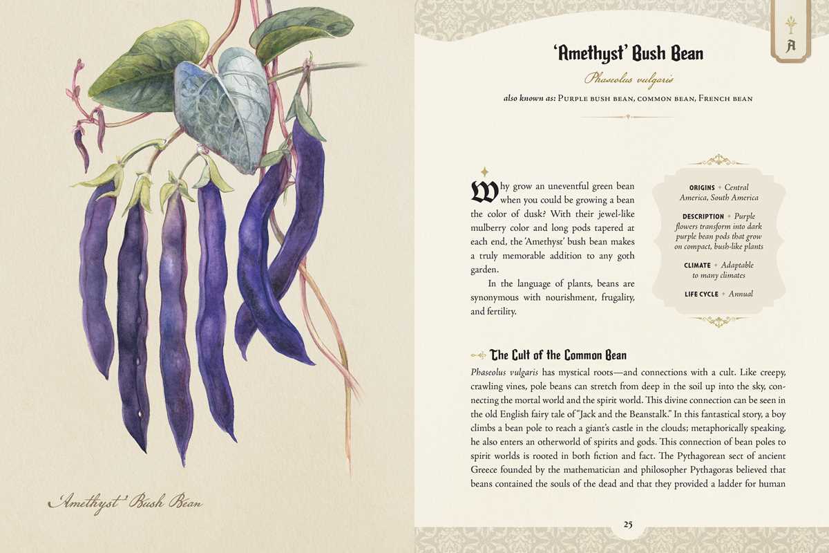 The Goth Garden by Felicia Feaster | The Mystery, Beauty & Lore of Dark Gardening
