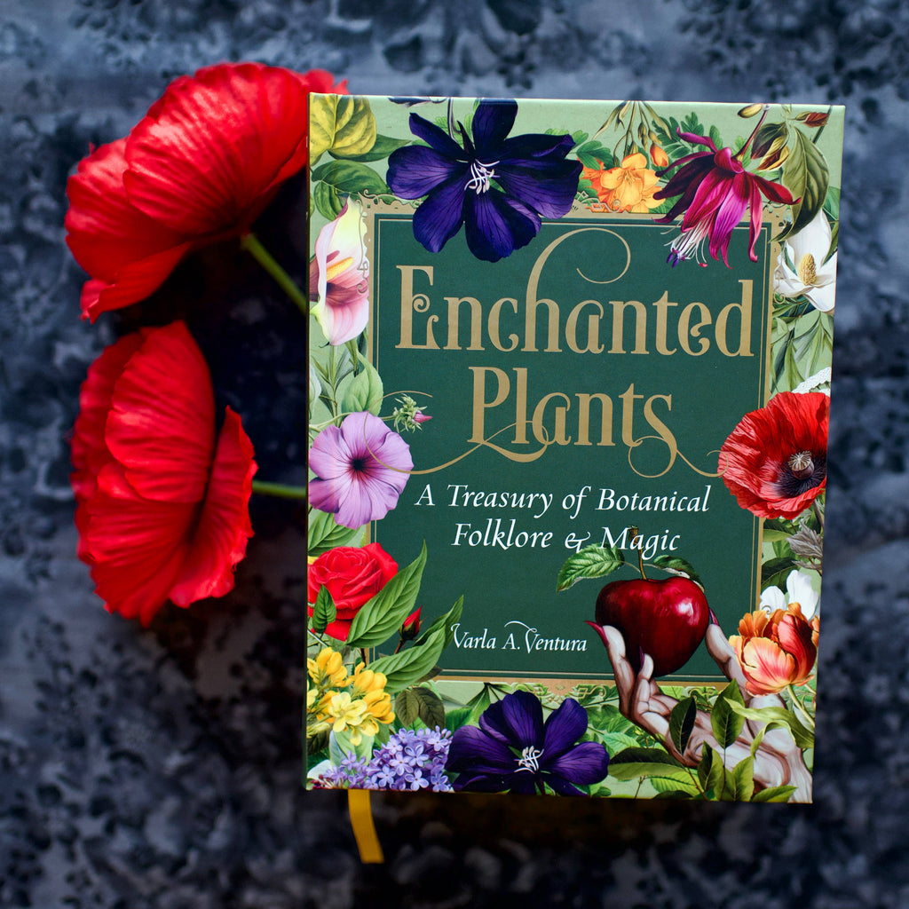 Enchanted Plants by Varla Ventura
