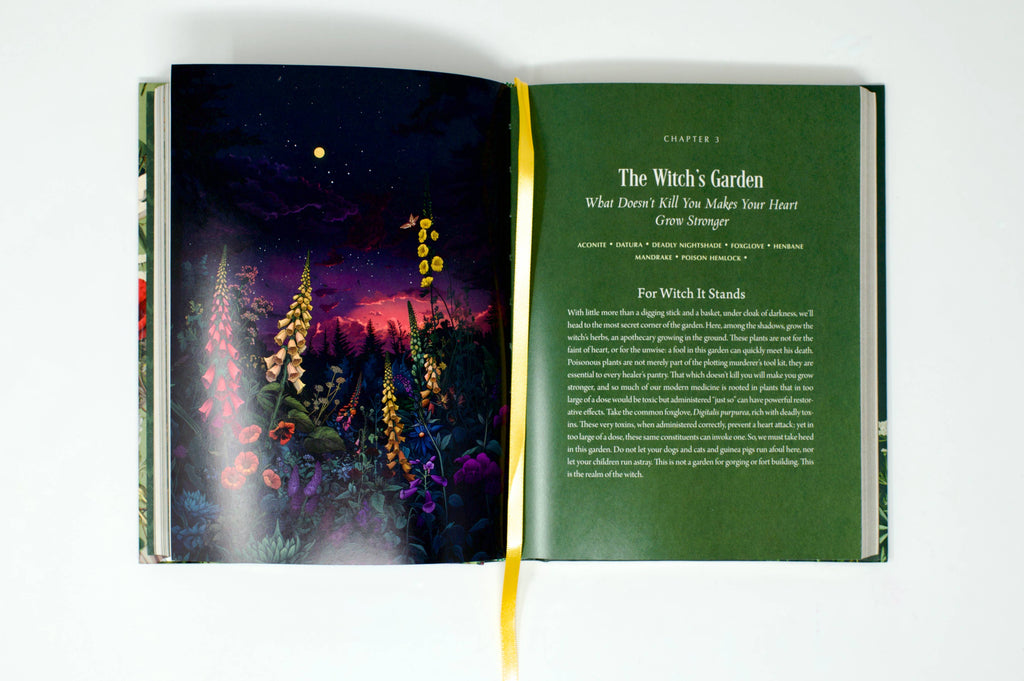 Enchanted Plants by Varla Ventura