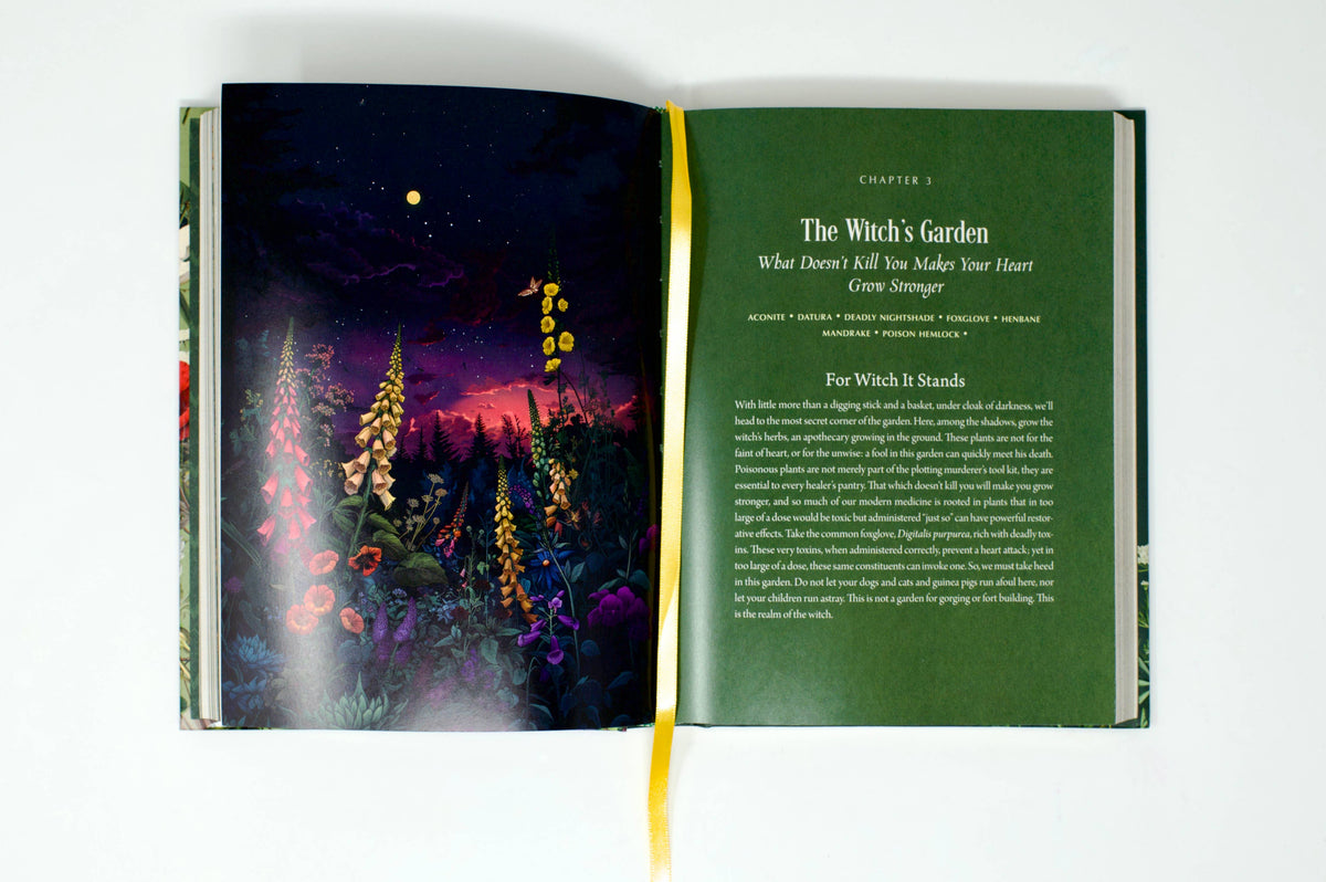 Enchanted Plants by Varla Ventura