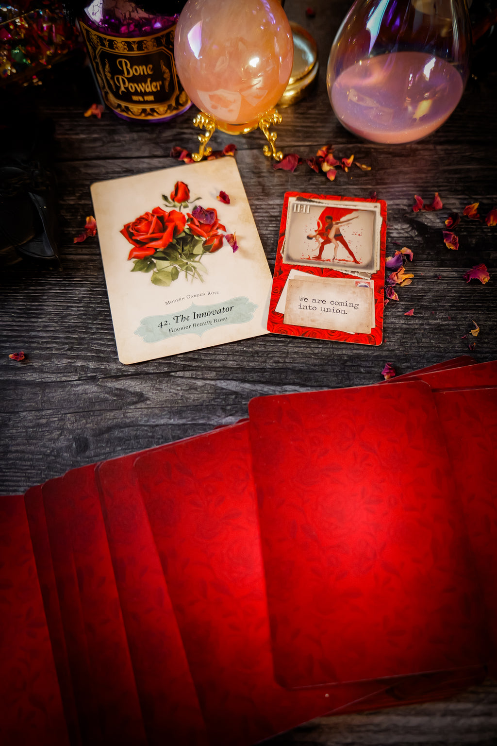 Tarot & Oracle Readings
