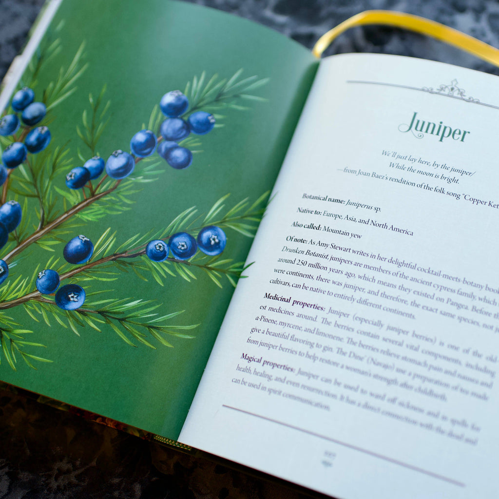 Enchanted Plants by Varla Ventura