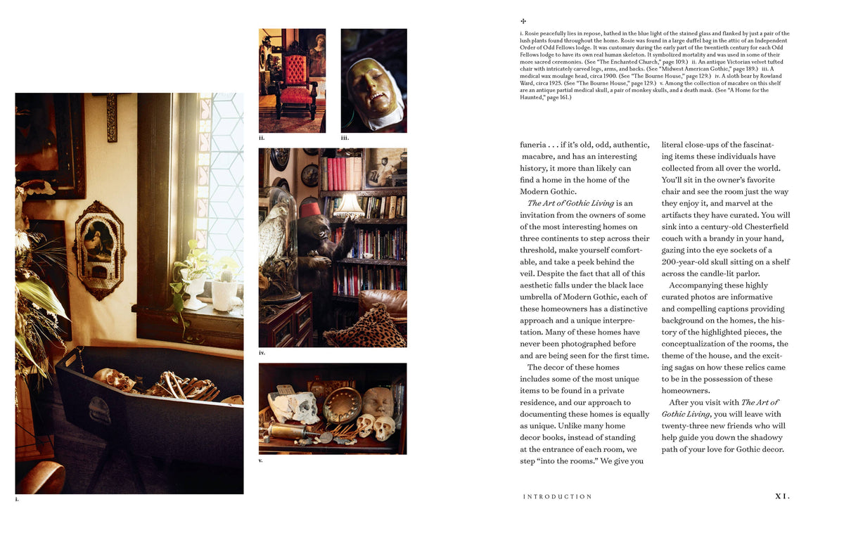 The Art of Gothic Living: Dark Decor for the Modern Macabre by Paul Gambino