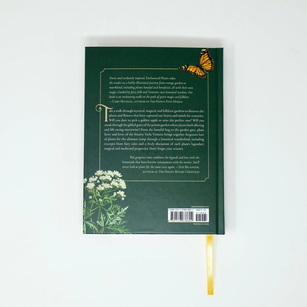 Enchanted Plants by Varla Ventura