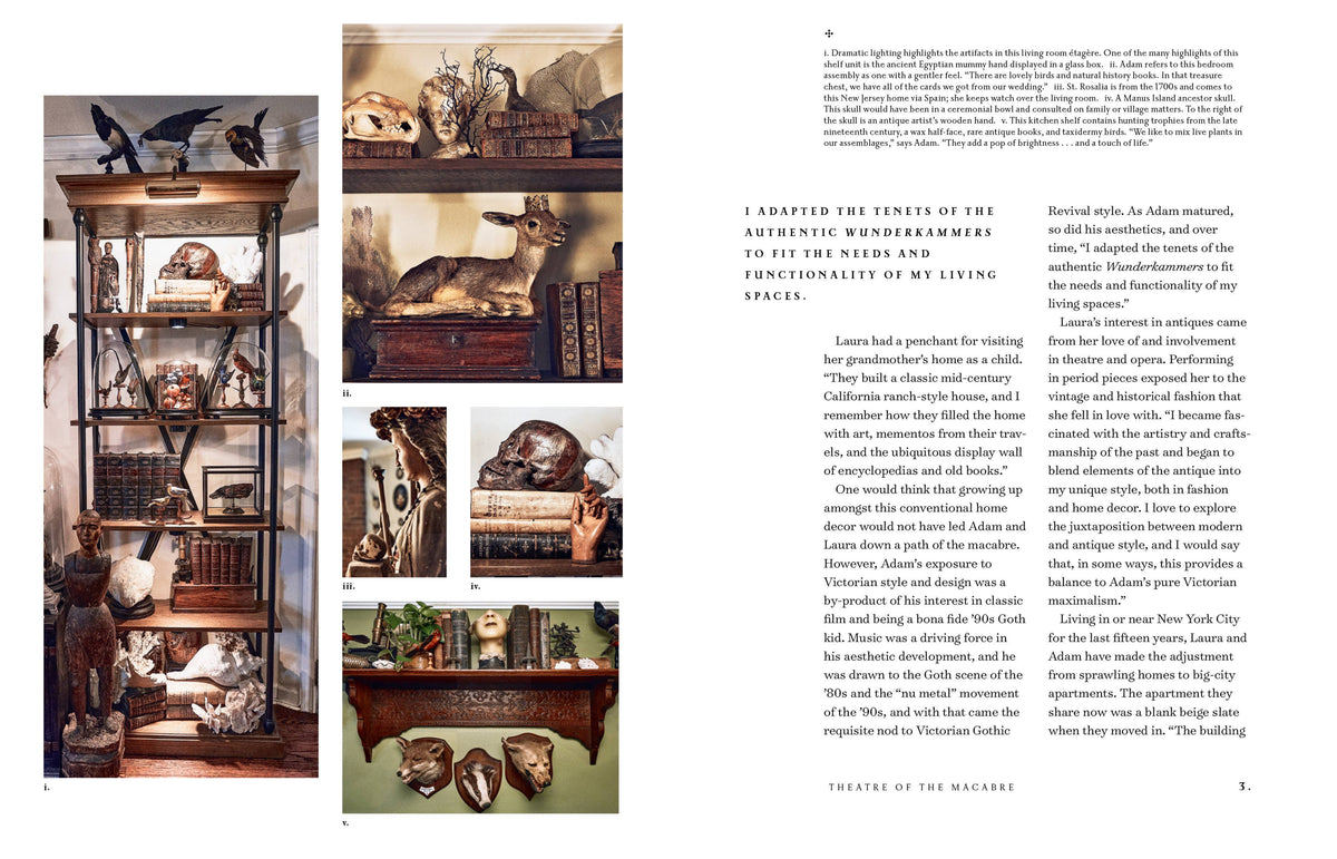 The Art of Gothic Living: Dark Decor for the Modern Macabre by Paul Gambino