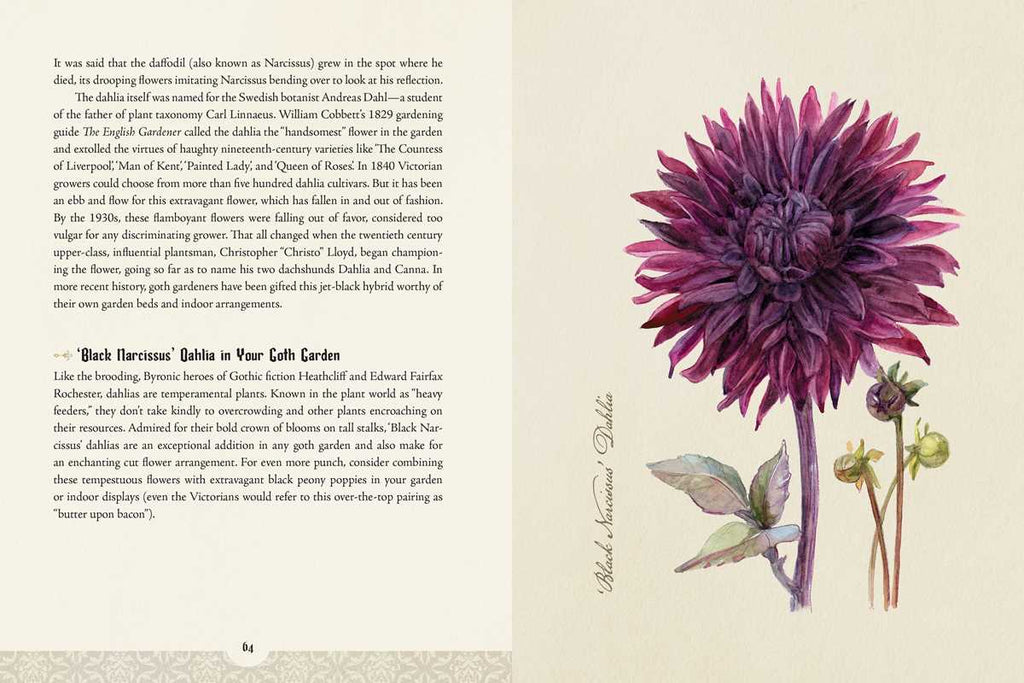 The Goth Garden by Felicia Feaster | The Mystery, Beauty & Lore of Dark Gardening