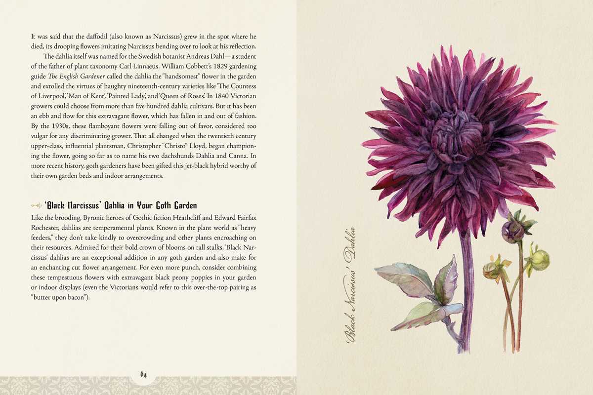 The Goth Garden by Felicia Feaster | The Mystery, Beauty & Lore of Dark Gardening