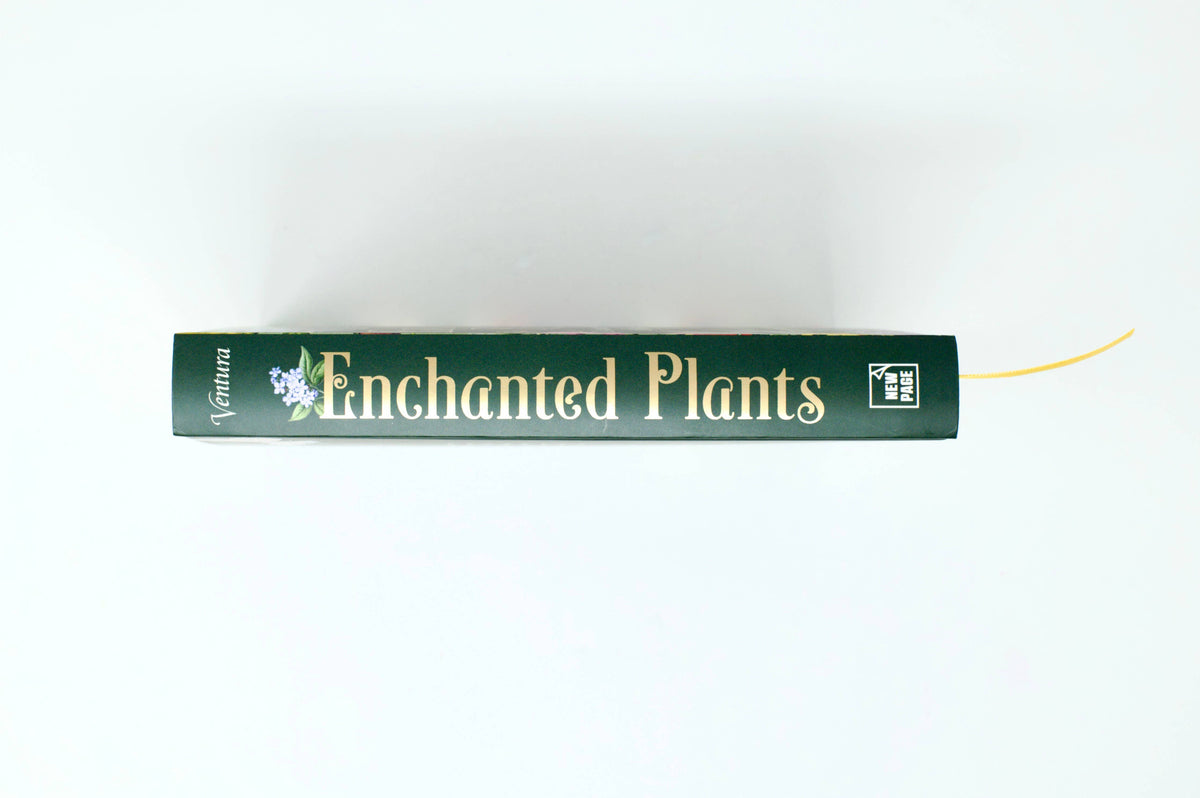 Enchanted Plants by Varla Ventura