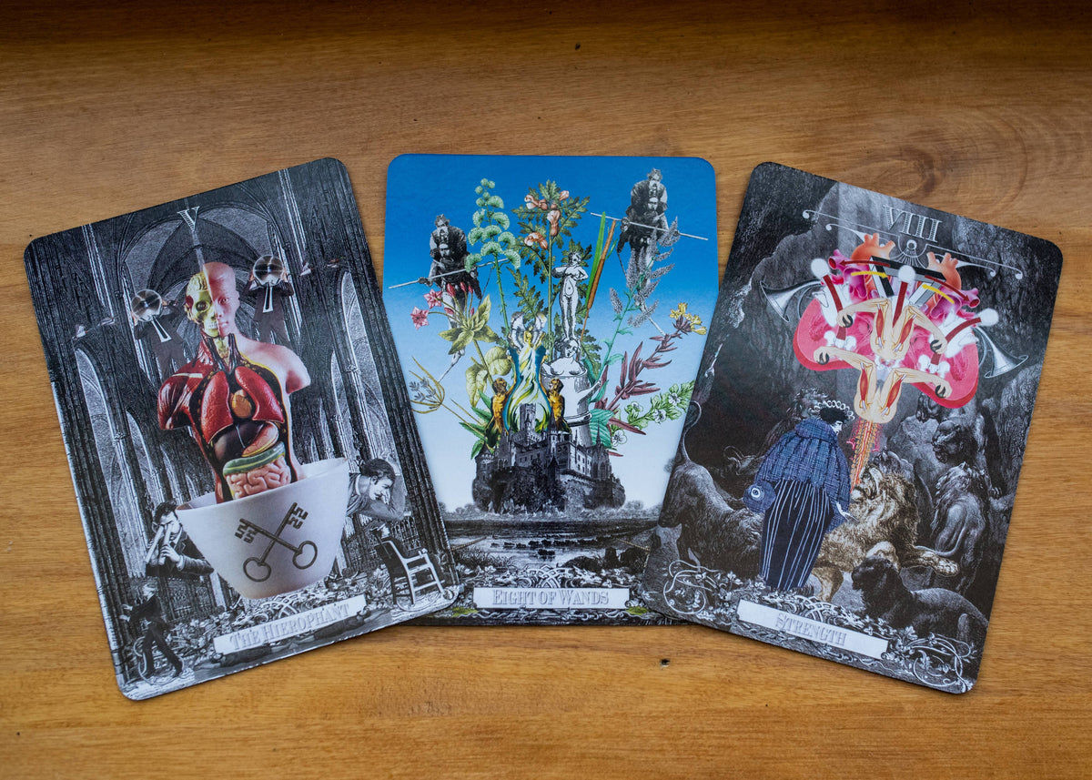 The Alchemical Visions Tarot by Arthur Taussig | Alchemy & Jungian Tarot