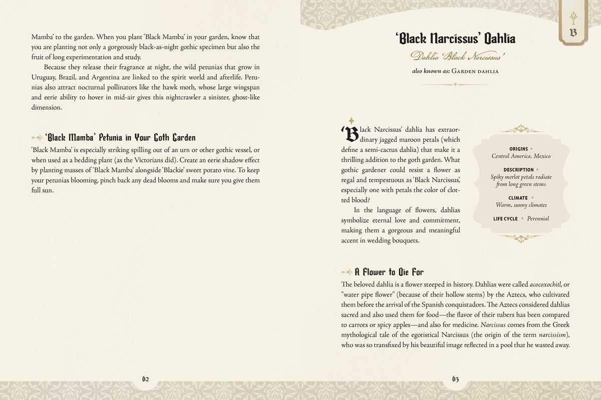 The Goth Garden by Felicia Feaster | The Mystery, Beauty & Lore of Dark Gardening