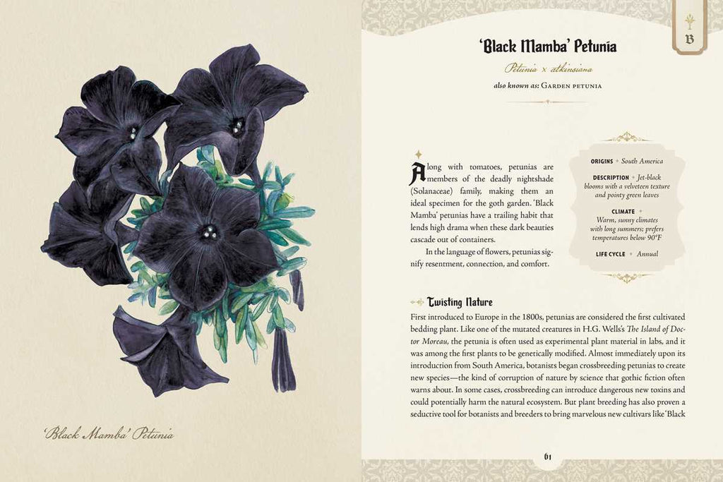 The Goth Garden by Felicia Feaster | The Mystery, Beauty & Lore of Dark Gardening