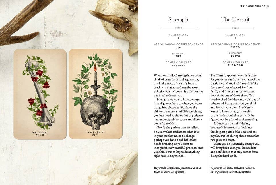 Antique Anatomy Tarot Kit by Claire Goodchild