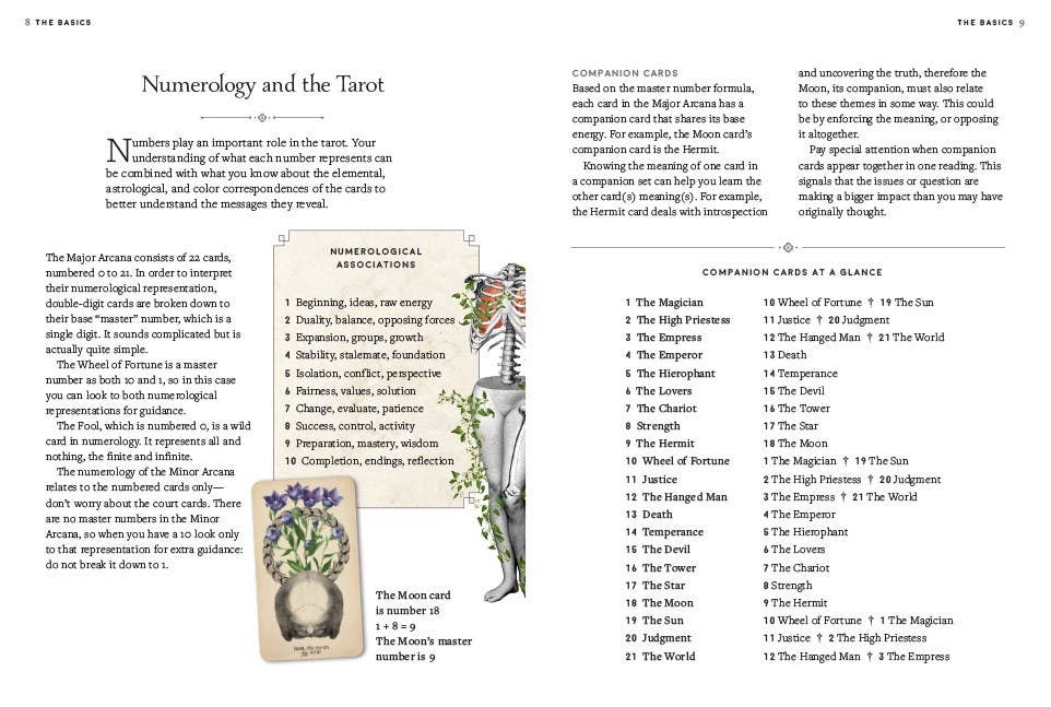 Antique Anatomy Tarot Kit by Claire Goodchild